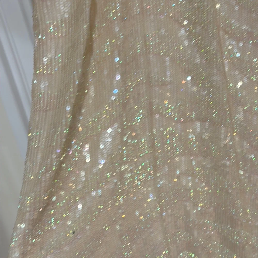 Parker Cream Sequin Dress - Picture 5 of 5